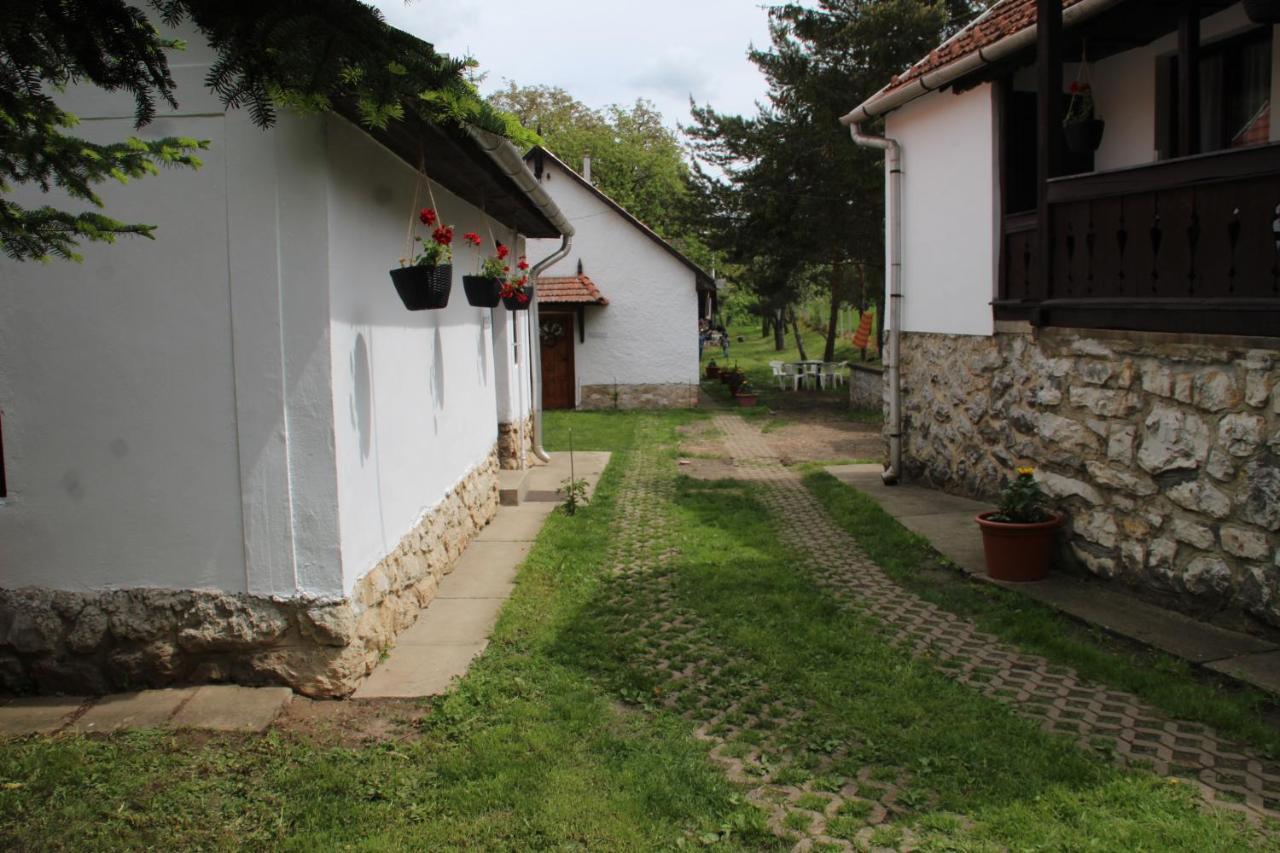 Apartament Korkostolo Vendeghazak Aggtelek Zewnętrze zdjęcie